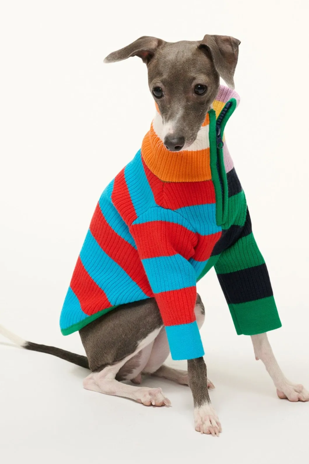 pet_hampton_sweater__cabana_stripe_multi_2.webp STAUD PET HAMPTON SWEATER | CABANA STRIPE MULTI< Pet Clothing