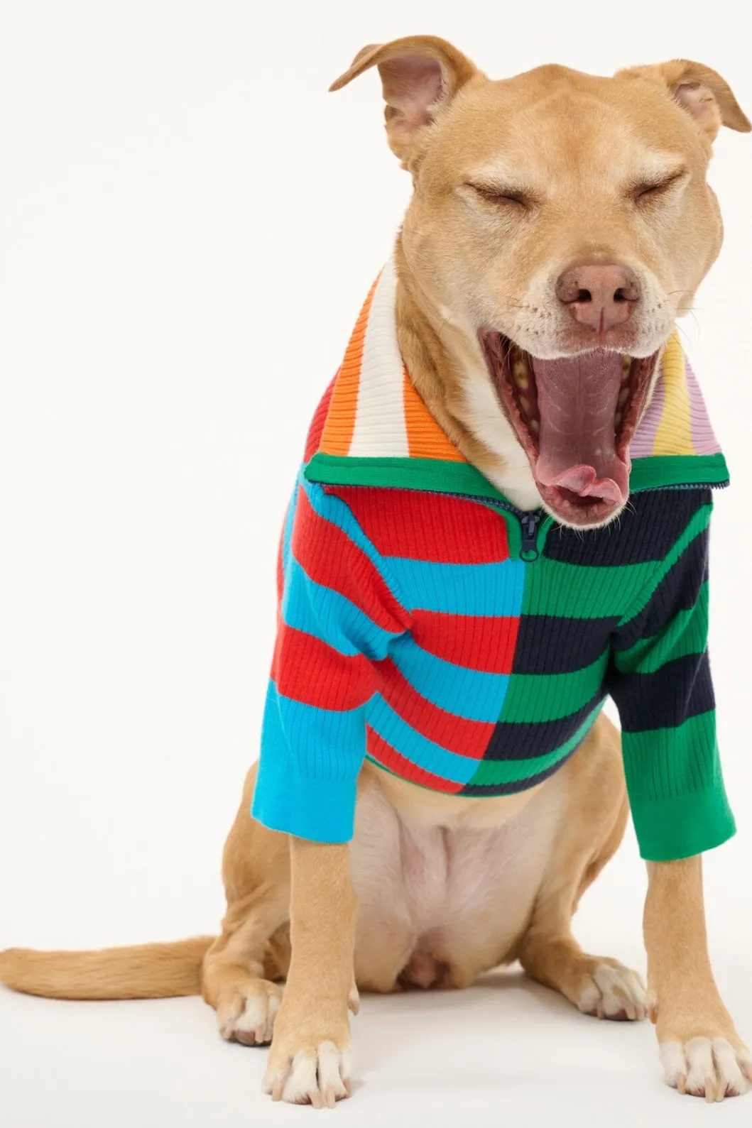pet_hampton_sweater__cabana_stripe_multi_3.webp STAUD PET HAMPTON SWEATER | CABANA STRIPE MULTI< Pet Clothing