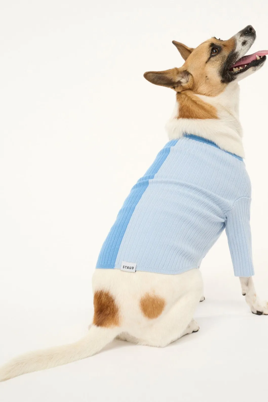 pet_shoko_sweater__periwinkle_multi_2.webp STAUD PET SHOKO SWEATER | PERIWINKLE MULTI< Pet Clothing