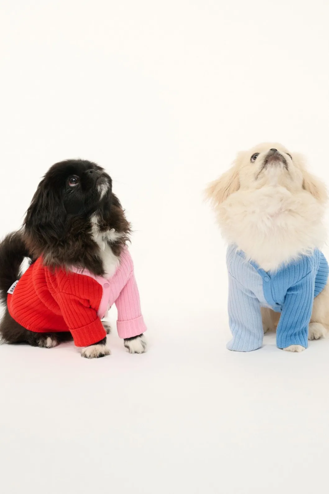 pet_shoko_sweater__periwinkle_multi_5.webp STAUD PET SHOKO SWEATER | PERIWINKLE MULTI< Pet Clothing
