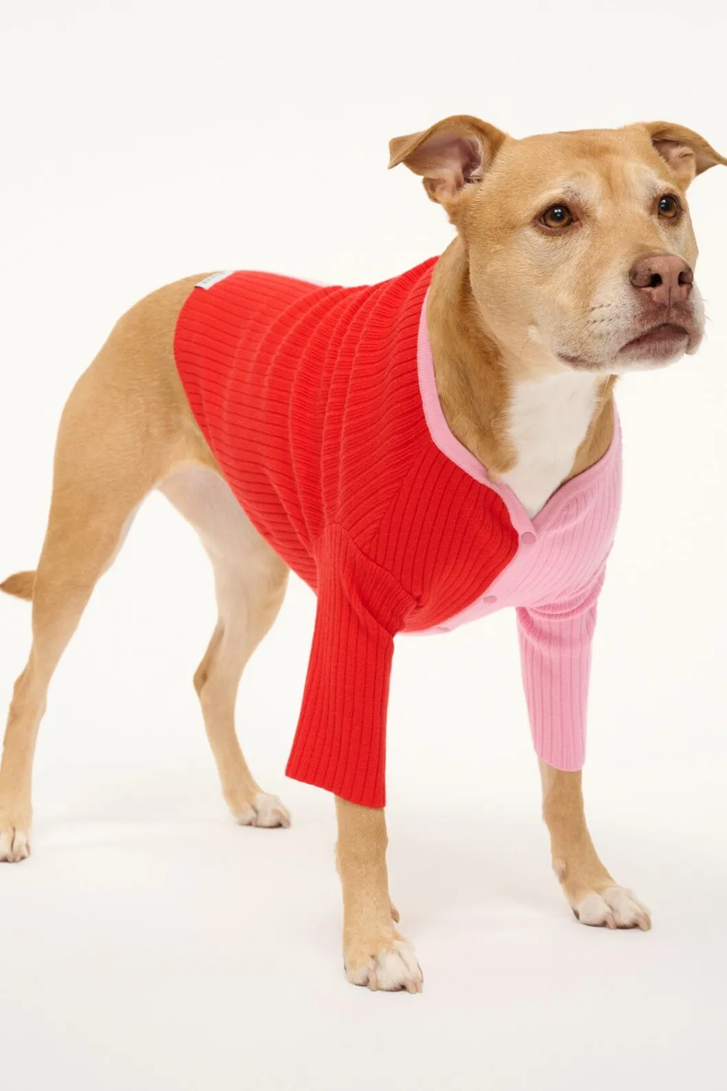 pet_shoko_sweater__poppy_rosebud_3.webp STAUD PET SHOKO SWEATER | POPPY ROSEBUD< Pet Clothing